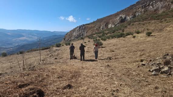 👷🏻‍♀️Si è conclusa la prima campagna di ricerche archeologiche sistematiche sull'abitato antico di Gioiosa Guardia, pr...