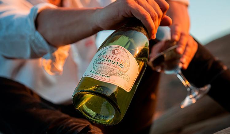 De Nova Zelândia a África do Sul: 5 vinhos de Sauvignon Blanc imperdíveis