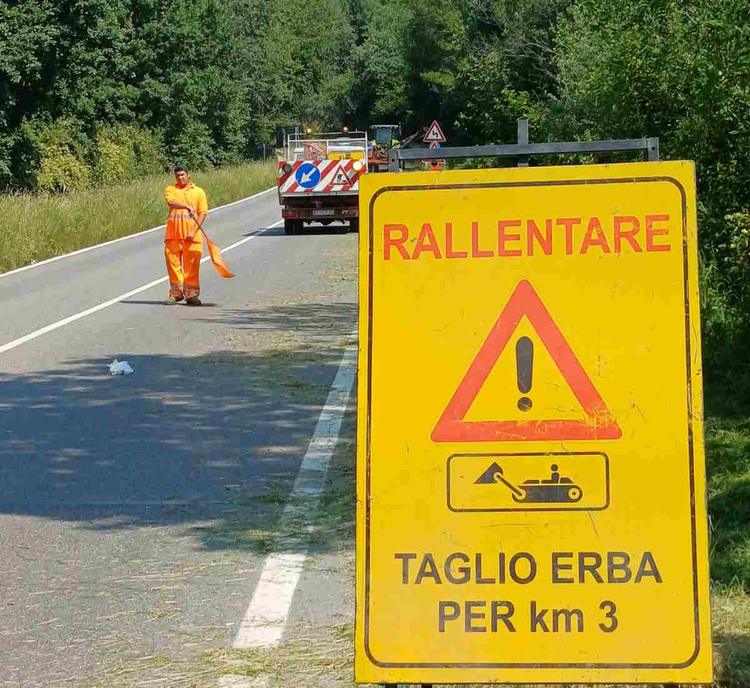 piemonte taglio erba