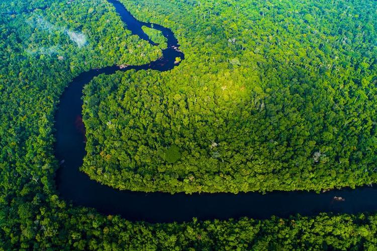 MPF contesta acordo que reduz área do Parque Estadual Cristalino II, em MT