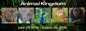 “Animal Kingdom” Exhibition