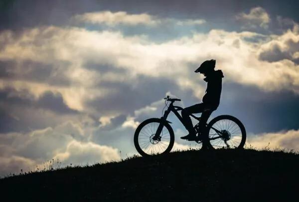Brevet la Linselloise