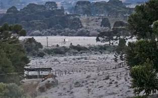 Bom Jardim da Serra, em Santa Catarina, amanhece com menor temperatura do ano nesta quarta (17)