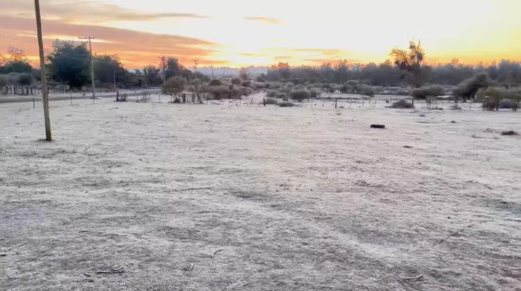 Frio intenso e chance de geada: previsão do tempo indica terça-feira gelada no RS; confira