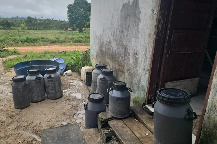 Três queijarias clandestinas são interditadas em operação no Pará