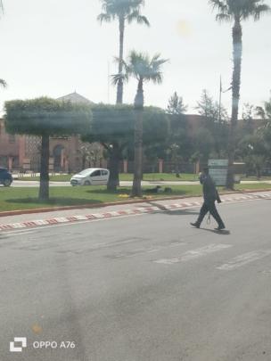 مسودة تلقائية