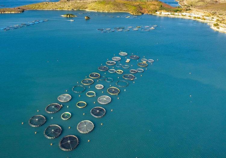 Greece Ranks Among EU’s Top Aquaculture Producers