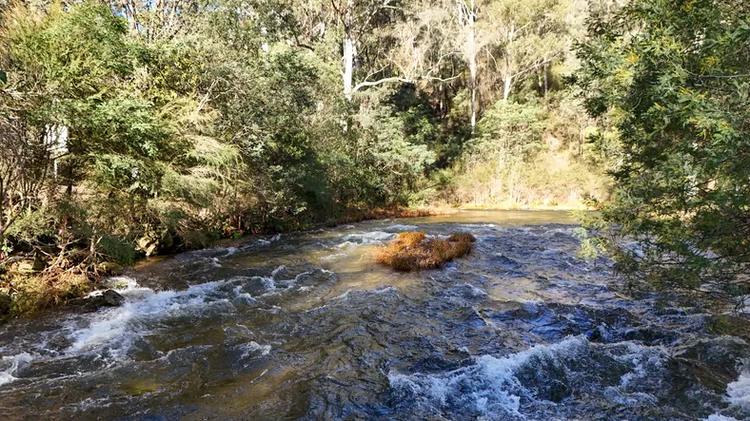 Snowy Creek flowing in a mountain valley to the south of Mitta Mitta