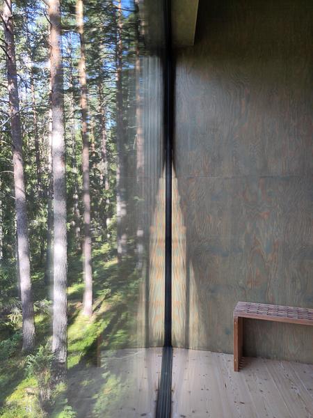 Großes Panoramafenster im Trakt Forest Hotel