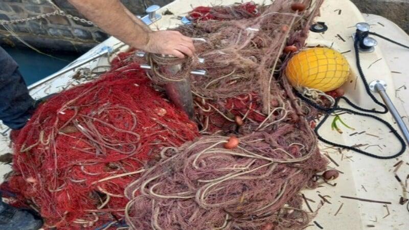 Tonno Rosso, l’allarme di Pierro (FI): “Il nuovo decreto penalizza il Cilento. Interrogazione al Masaf”