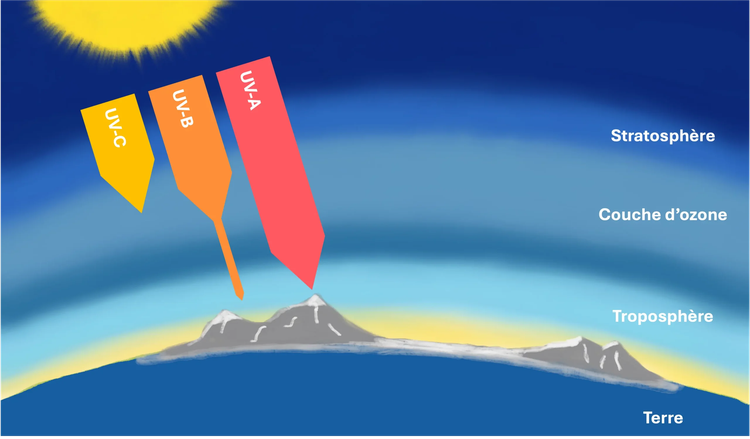Microorganismes antarctiques sous un rayonnement UV extrême