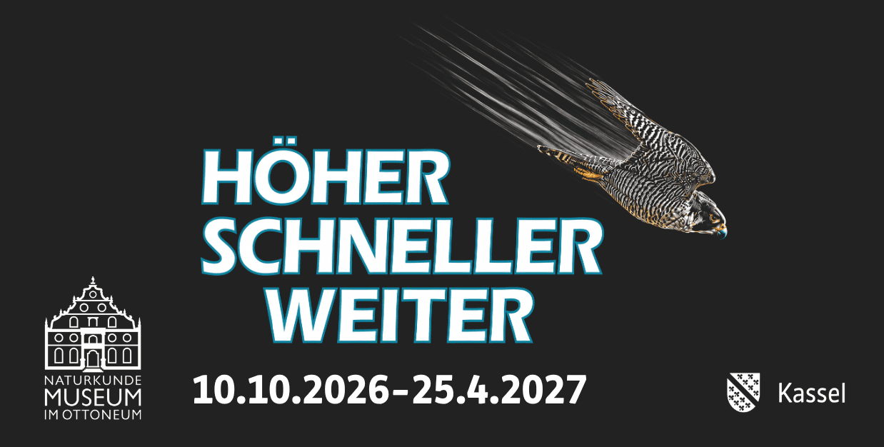 Sonderausstellung: Höher Schneller Weiter