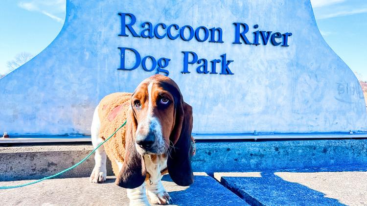 Raccoon River Dog Park in West Des Moines, Iowa