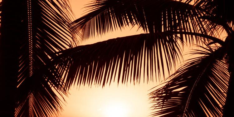 Mare caldo e temperature record: ecco perché nell'autunno 2026 potrebbero verificarsi eventi atmosferici più intensi