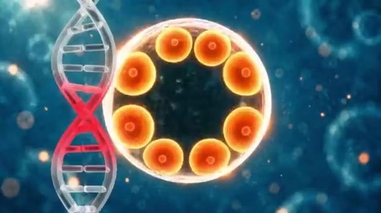 Pesquisadores usam 'botão de volume' para tratar doenças ligando ou desligando trechos de DNA