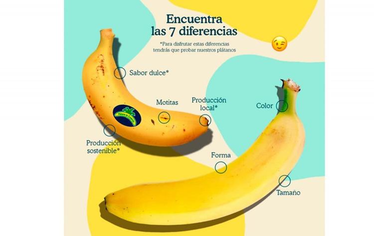 diferencias entre platano de canarias y banana