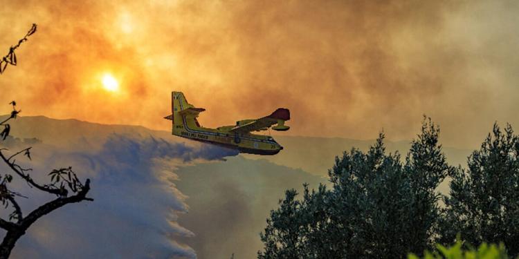Incendi in Sicilia, roghi dal Trapanese al Messinese: gente in fuga dalle villette nel Palermitano