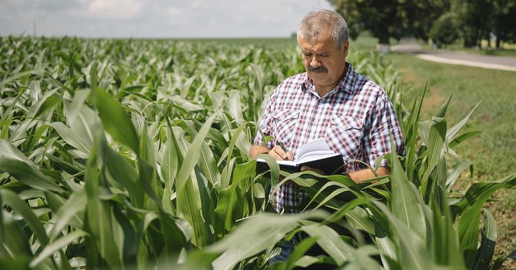 Entidades do agro cobram celeridade na operacionalização da MP das dívidas rurais
