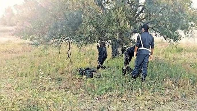 إقليم الصويرة.. العثور على مسن جثة هامدة بمحيط دوار أغبالو والتحقيقات جارية
