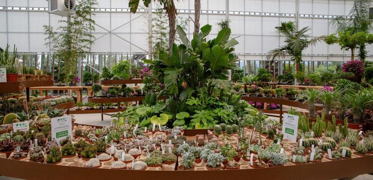 NaturArt Village: verde contemporaneo
