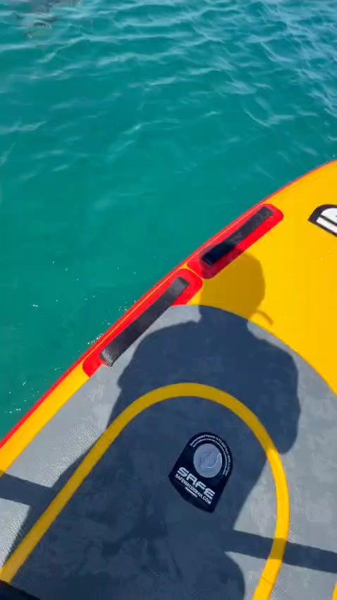 Earth Day Cefalù 2026 22 aprile, 56ª Giornata Mondiale della Terra  Liberazione tartaruga ‘Caretta Caretta’ a cura dell’...