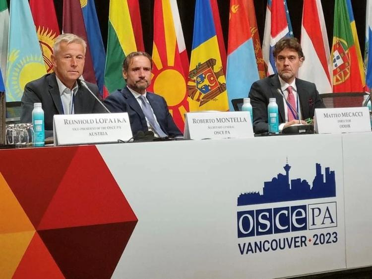 Österreich als Brückenbauer: Europa-Parlamentarier Reinhold Lopatka (im Bild als OSZE-Wahlbeobachter). Foto: www.lopatka.at