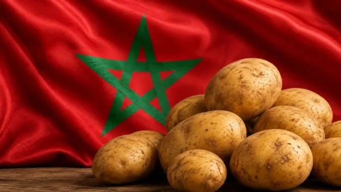 بعد أضرار الفيضانات.. المغرب يلجأ إلى الأسواق الخارجية لتأمين حاجياته من البطاطس