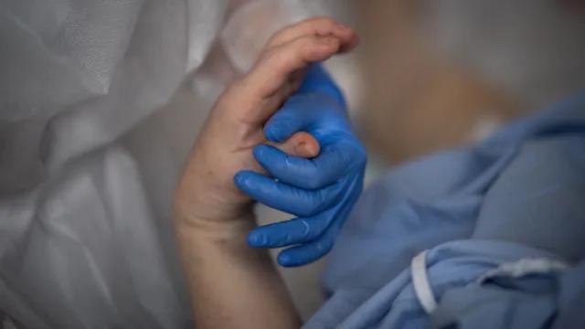 Idosa é intubada após comer peixe no RN; suspeita é de ciguatera