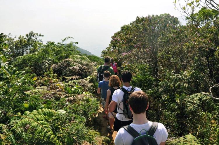 Trilha no Parque Nacional da Tijuca: impulsionado pelas redes sociais, o turismo instagramável provoca impactos negativos nos ambientes naturais do Rio de Janeiro (Foto: Alexandre Macieira)