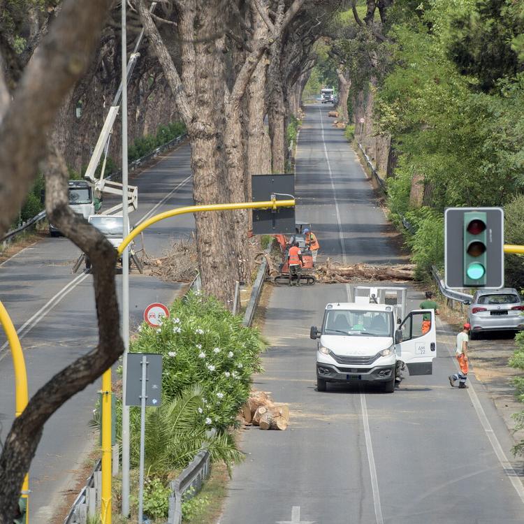 Caldo, con più foreste urbane si possono ridurre del 36% le morti
