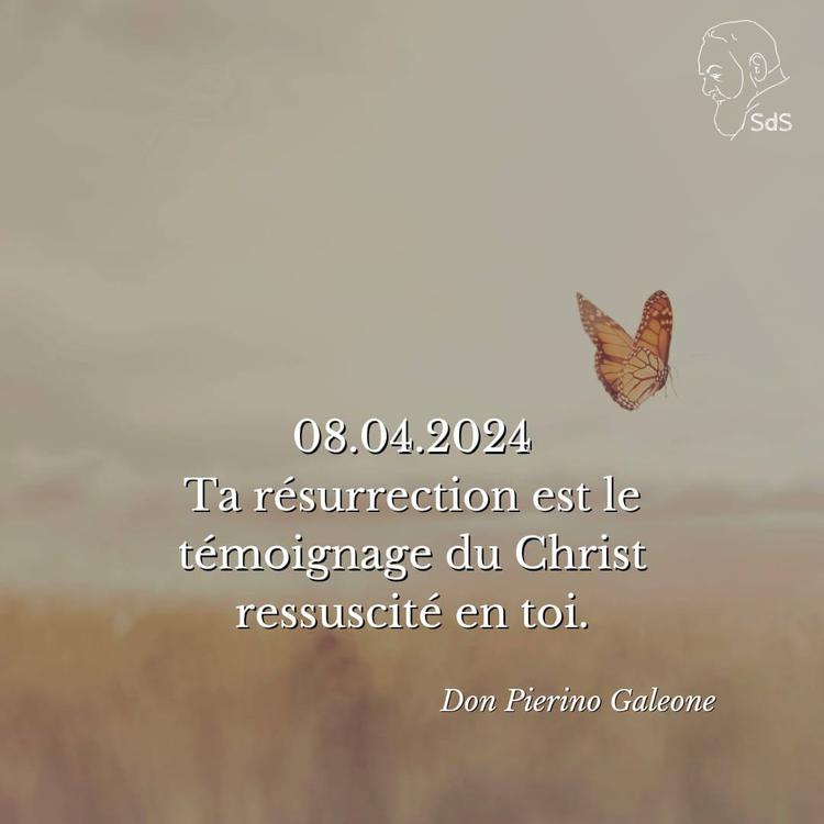 08.04.2024
Ta résurrection est le témoignage du Christ ressuscité en toi.

Père Pierino Galeone