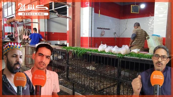 بعد ارتفاع اسعاره بشكل صاروخي.. باعة الدجاج يرجعون السبب لغلاء العلف وانخفاض الانتاج
