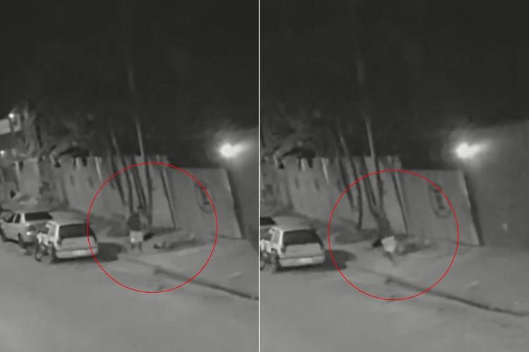 Mulher é morta a pauladas na frente de vizinhos no litoral de SP; VÍDEO