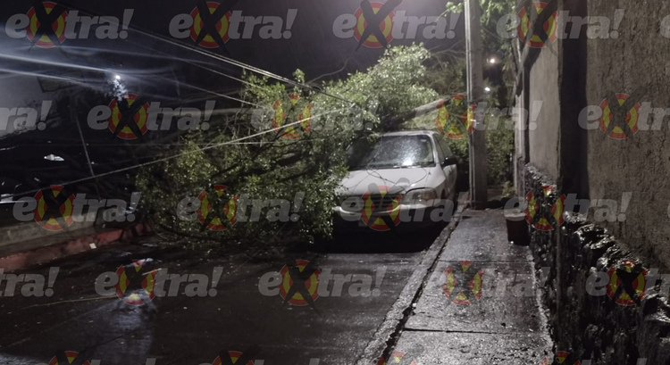VIDEO | Colapsa entrada de la clínica Rafael Barba Ocampo de Cuautla tras caída de árbol y poste