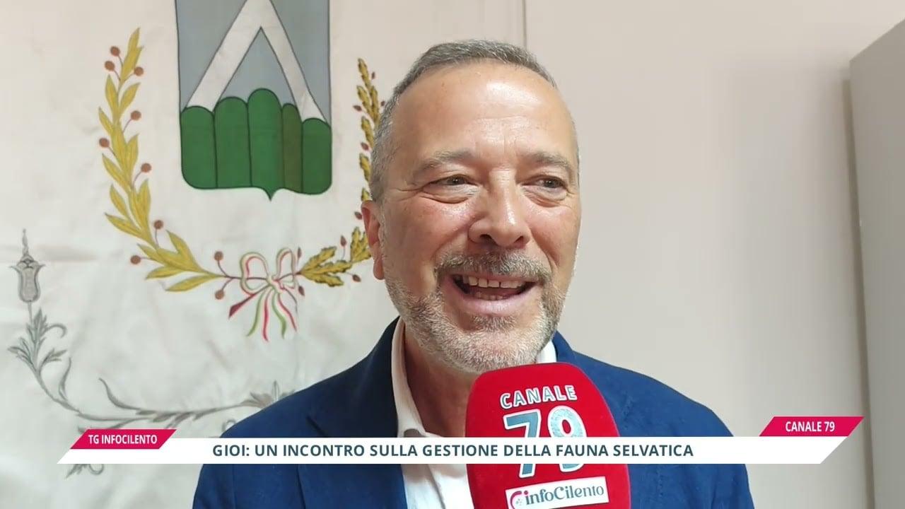 La gestione della fauna selvatica al centro del dibattito a Gioi: focus sull’emergenza cinghiali