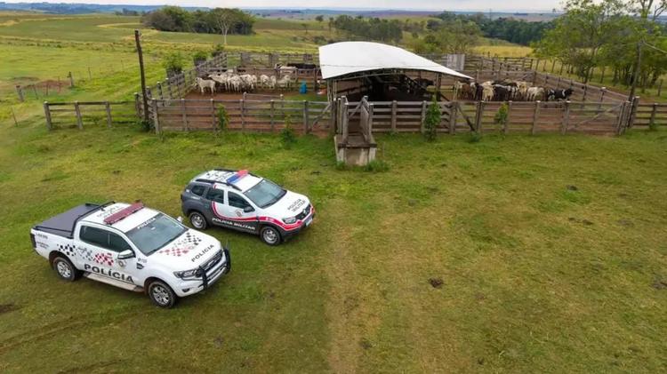 Homem é preso em Pompeia após PM achar mais de 90 cabeças de gado furtadas