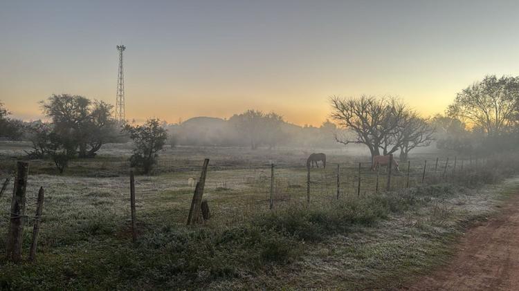 Massa de ar polar avança sobre o RS com geada e mínima de -2,5°C; veja as menores temperaturas