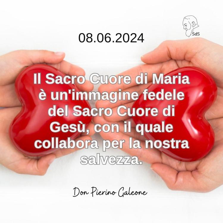 08.06.24
Il Sacro Cuore di Maria è un'immagine fedele del Sacro Cuore di Gesù, con il quale collabora per la nostra salvezza.