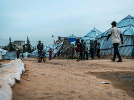 Gaza Strip. Caritas Jerusalem: over 70,000 infections. Rodent infestation becomes a public health emergency