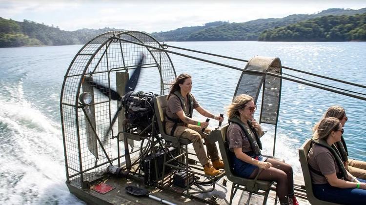 Passeio em blindados e tanques de guerra? Parque em SC propõe experiências militares a 'pessoas comuns'