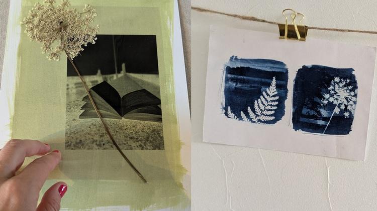 Essayez-vous au cyanotype avec les Archives Départementales des Vosges