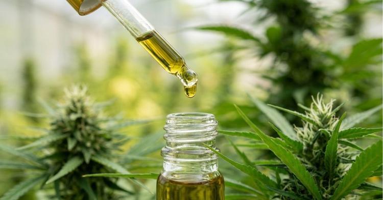 Balneário Camboriú regulamenta tratamento com cannabis para crianças e adolescentes com TEA