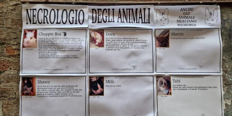 A Perugia il necrologio degli animali, "meritano memoria": cani, gatti, conigli e un diavolo della Tasmania nelle foto sui manifesti