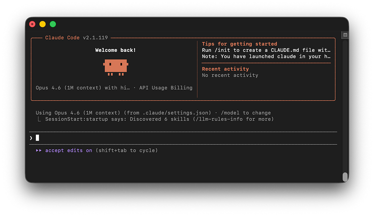 The Claude Code command line interface — black screen with white text