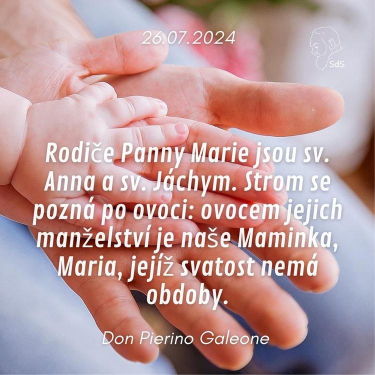 26.7.2024
Rodiče Panny Marie jsou sv. Anna a sv. Jáchym. Strom se pozná po ovoci: ovocem jejich manželství je naše Maminka, Maria, jejíž svatost nemá obdoby.

Don Pierino Galeone