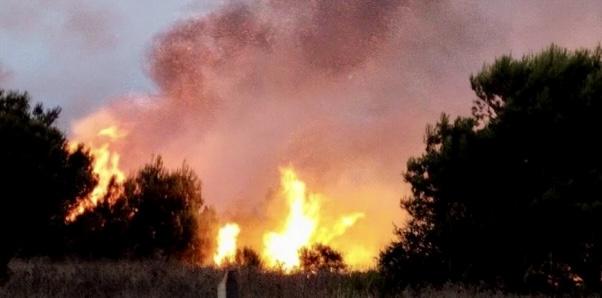 Incendio a Biccari, 60 ettari in fiamme ed evacuata struttura ricettiva
