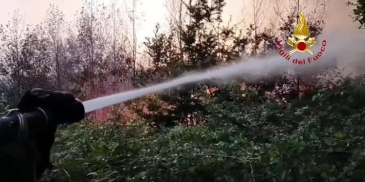 Calabria stritolata dall'afa e dalle fiamme: oltre 200 interventi dei vigili del fuoco in 36 ore