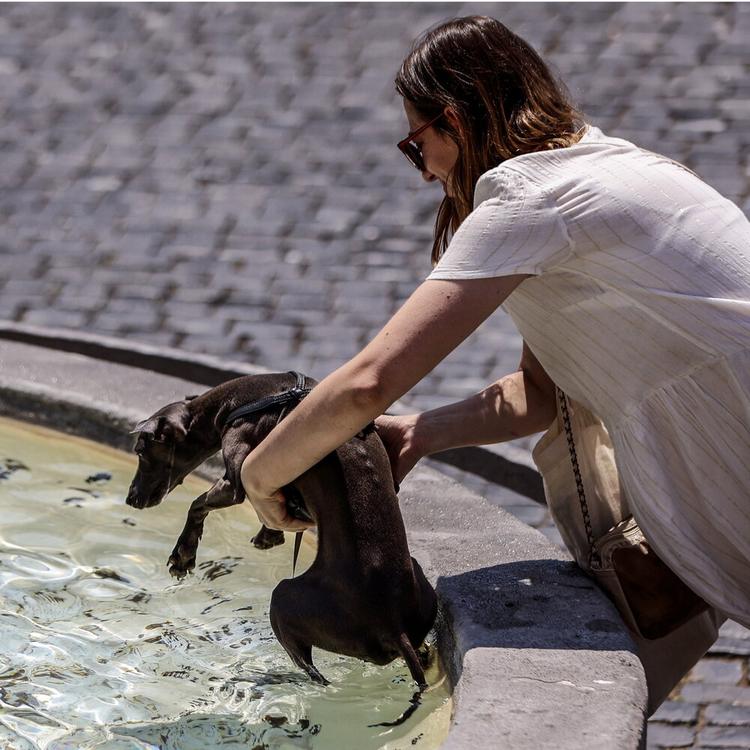 Prepariamoci a un fine giugno rovente, temperature fino a 40 gradi