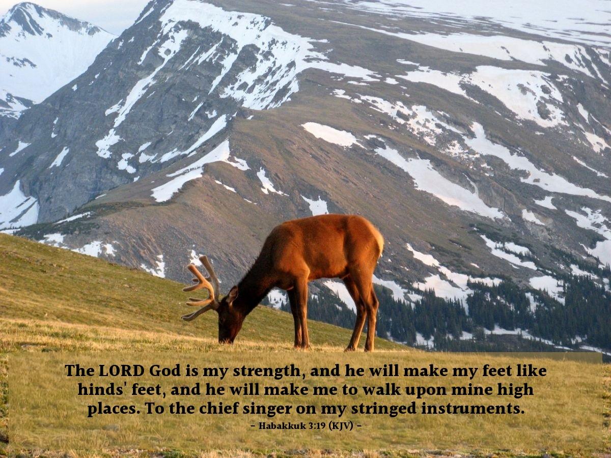 Today's Verse - Habakkuk 3:19 (KJV)