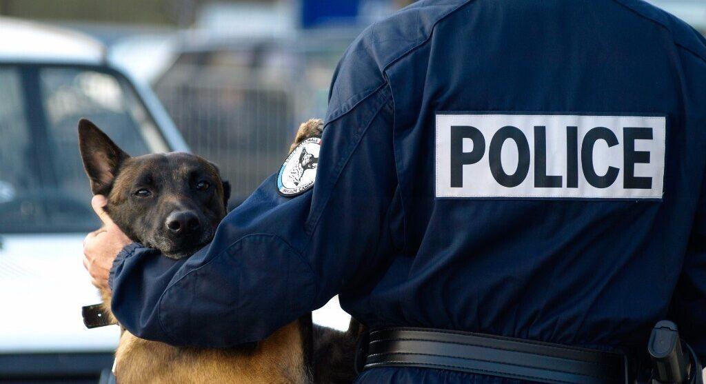 Nîmes. Tirs de Kalachnikov : cinq policiers blessés lors de l’arrestation des suspects